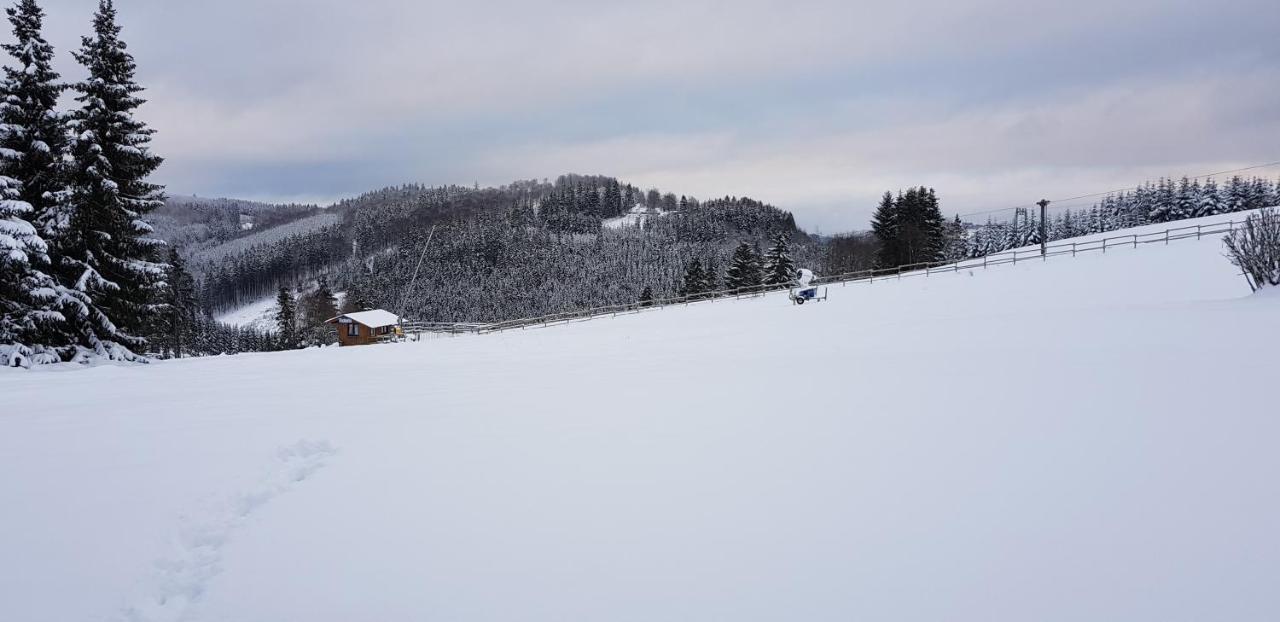 Ski in Ski out Neuastenberg Winterberg Exterior foto